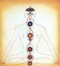 De sju chakras, sju "kraftstationer" för tiotusentals vener och vindar som genomkorsar människan enligt den tibetanska buddhismens fysiologi. De sju chakras, sju "kraftstationer" för tiotusentals vener och vindar som genomkorsar människan enligt den tibetanska buddhismens fysiologi.