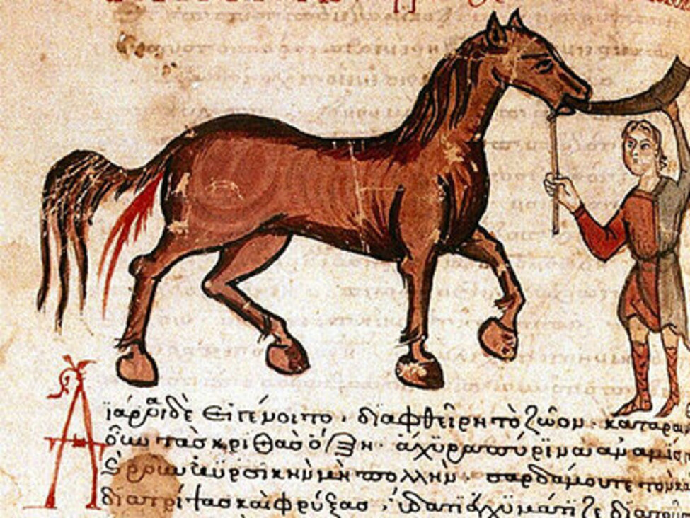 Ur "Hippiatrica", en bok om hästläkekonst under senantiken (handskrift från 1300-talet, Bibliothèque nationale de France). 