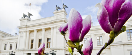 Lund University building in spring