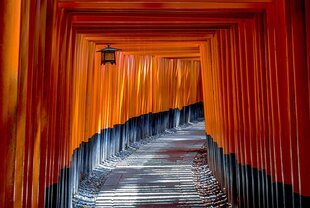 Torii.