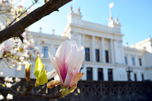 Universitetshuset, Lundagård. Foto.